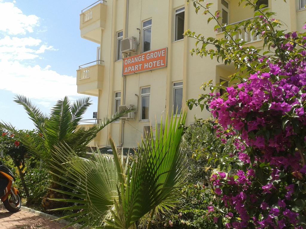 Orange Grove Apart Hotel Alanya Ngoại thất bức ảnh